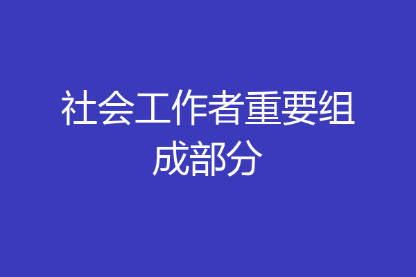 社会工作者重要组成部分