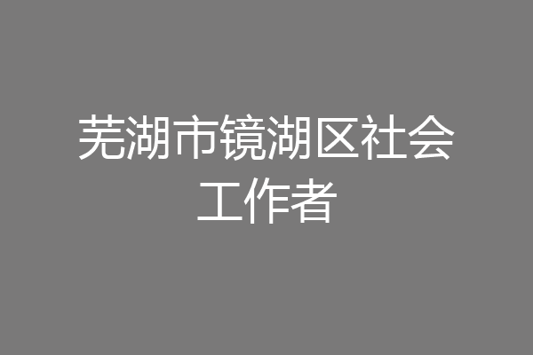芜湖市镜湖区社会工作者