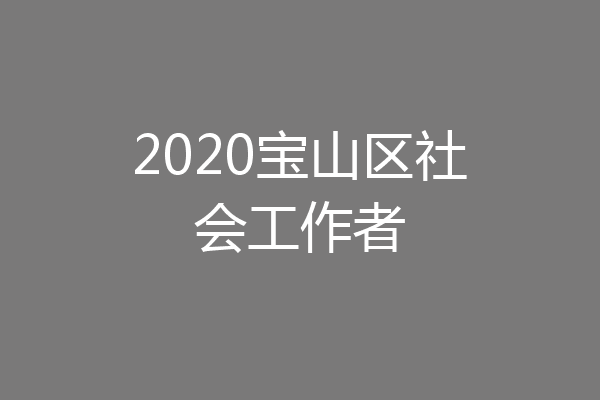 2020宝山区社会工作者