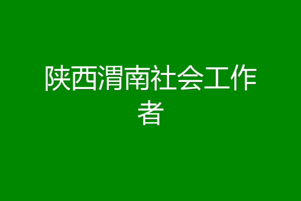 陕西渭南社会工作者