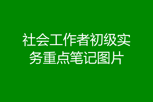 社会工作者初级实务重点笔记图片