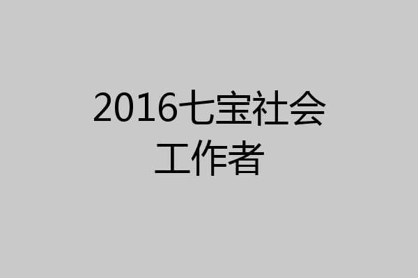2016七宝社会工作者