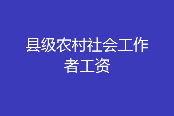 县级农村社会工作者工资