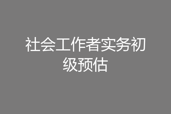 社会工作者实务初级预估
