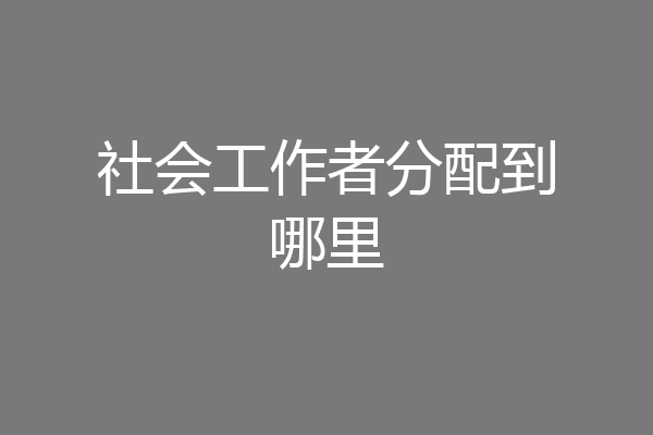 社会工作者分配到哪里