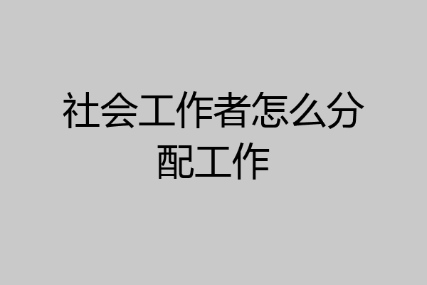 社会工作者怎么分配工作