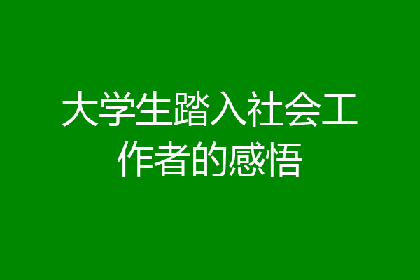 大学生踏入社会工作者的感悟
