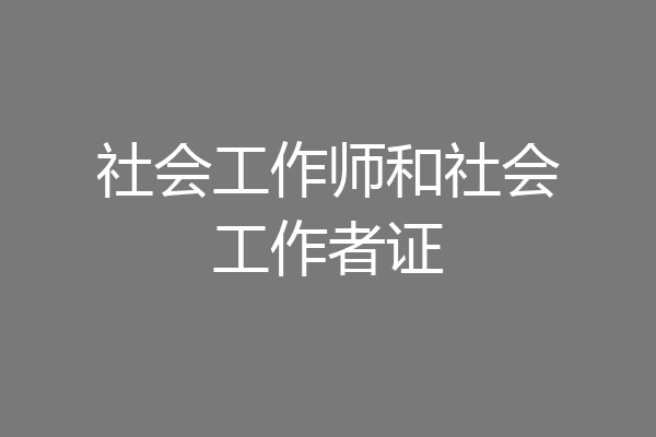 社会工作师和社会工作者证
