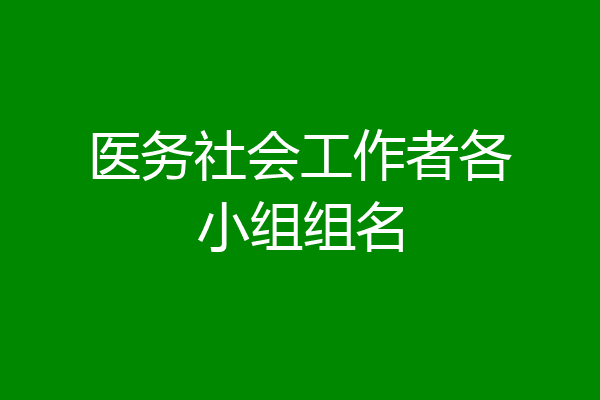 医务社会工作者各小组组名