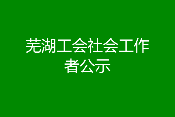 芜湖工会社会工作者公示