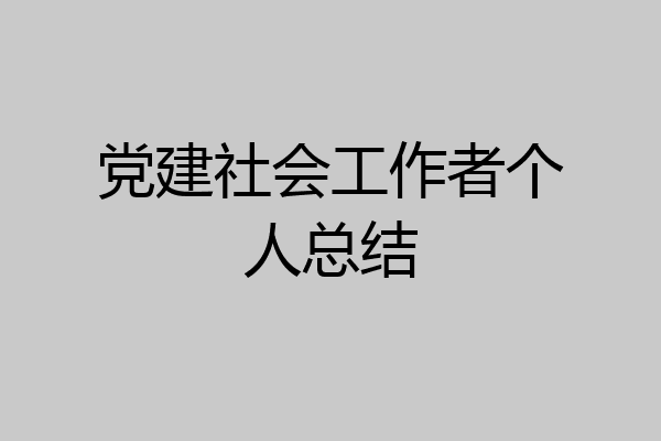 党建社会工作者个人总结