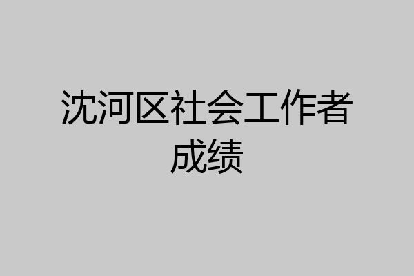 沈河区社会工作者成绩