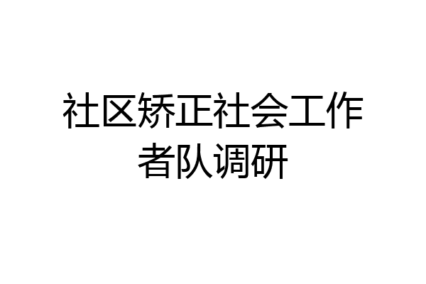 社区矫正社会工作者队调研