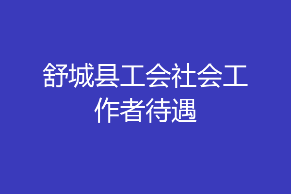 舒城县工会社会工作者待遇