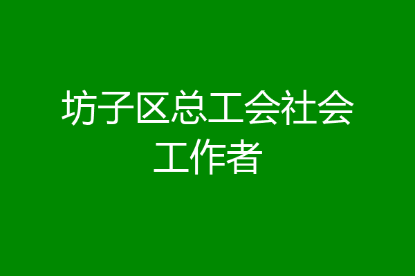 坊子区总工会社会工作者
