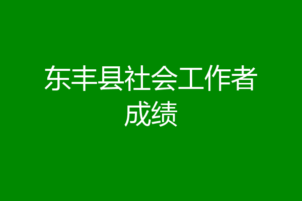 东丰县社会工作者成绩