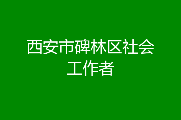 西安市碑林区社会工作者