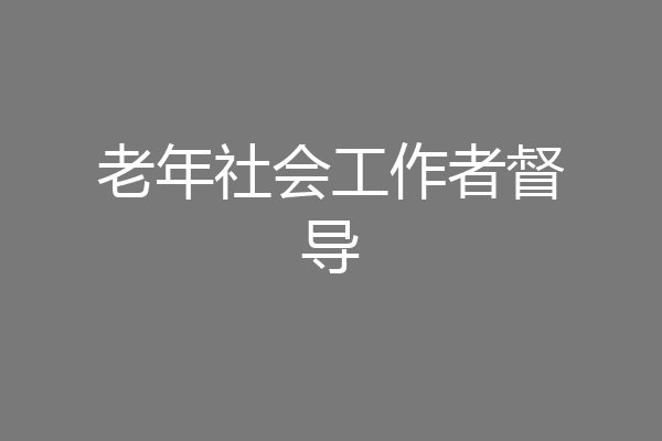老年社会工作者督导