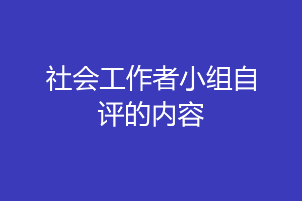 社会工作者小组自评的内容