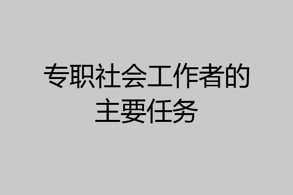 专职社会工作者的主要任务