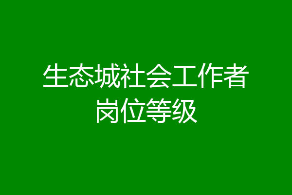 生态城社会工作者岗位等级