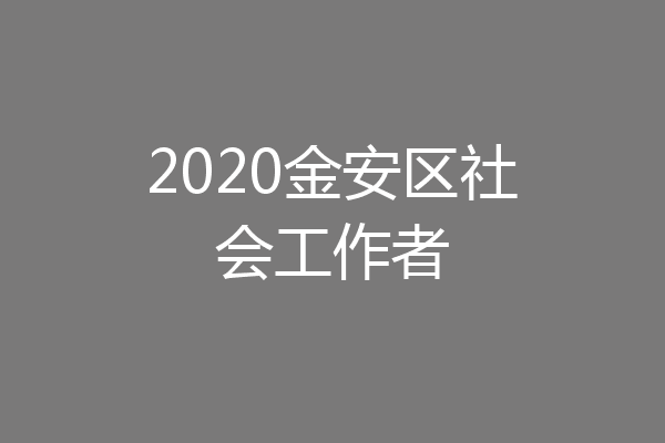 2020金安区社会工作者