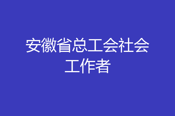 安徽省总工会社会工作者