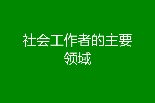 社会工作者的主要领域