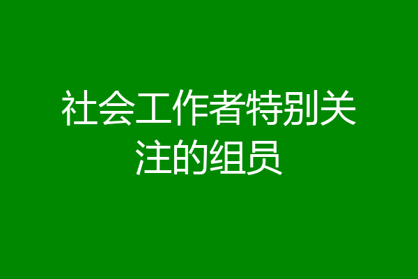 社会工作者特别关注的组员