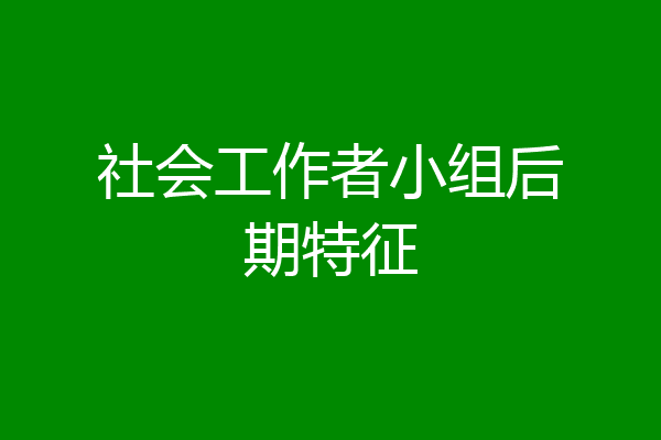 社会工作者小组后期特征