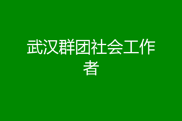 武汉群团社会工作者