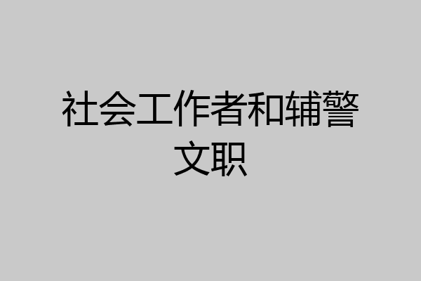 社会工作者和辅警文职