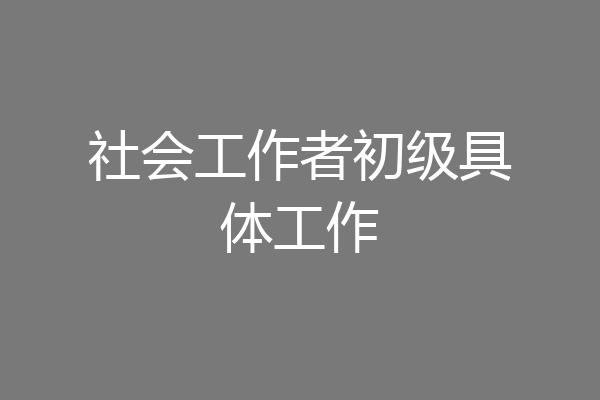 社会工作者初级具体工作