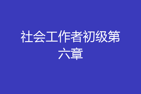 社会工作者初级第六章