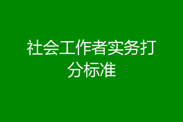 社会工作者实务打分标准