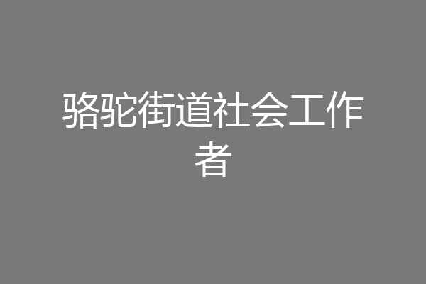 骆驼街道社会工作者