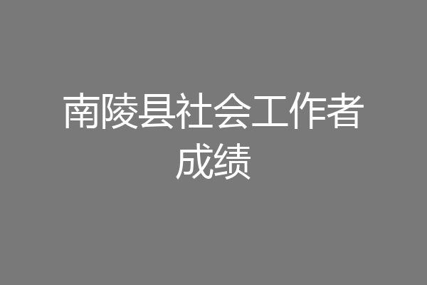 南陵县社会工作者成绩