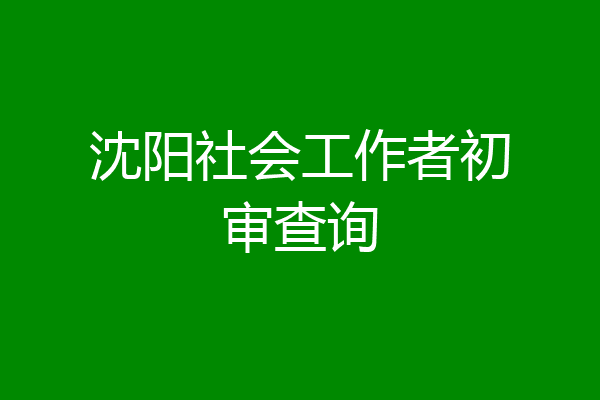 沈阳社会工作者初审查询