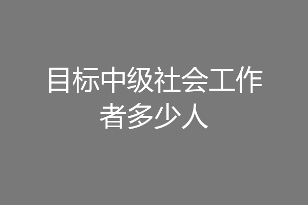 目标中级社会工作者多少人