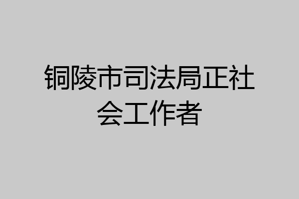 铜陵市司法局正社会工作者