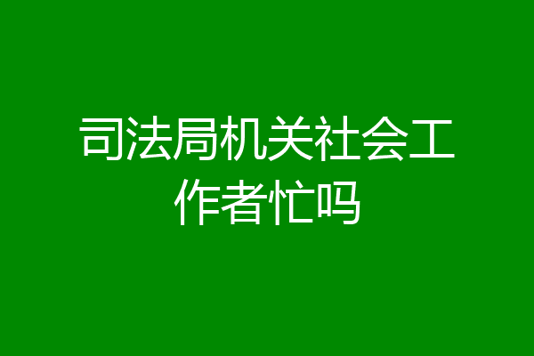 司法局机关社会工作者忙吗
