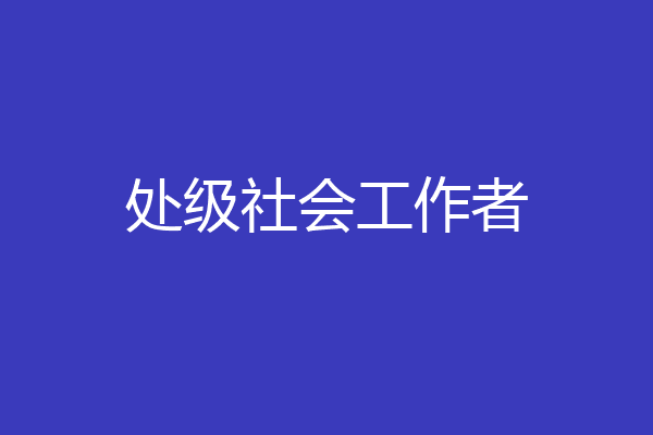 处级社会工作者