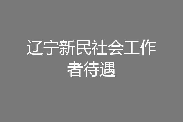 辽宁新民社会工作者待遇