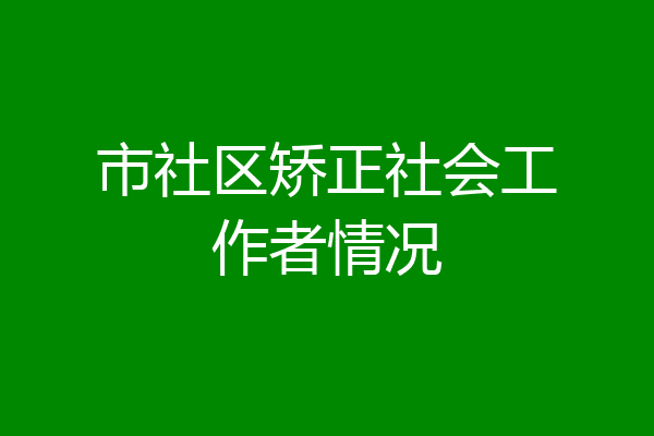 市社区矫正社会工作者情况