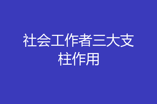 社会工作者三大支柱作用