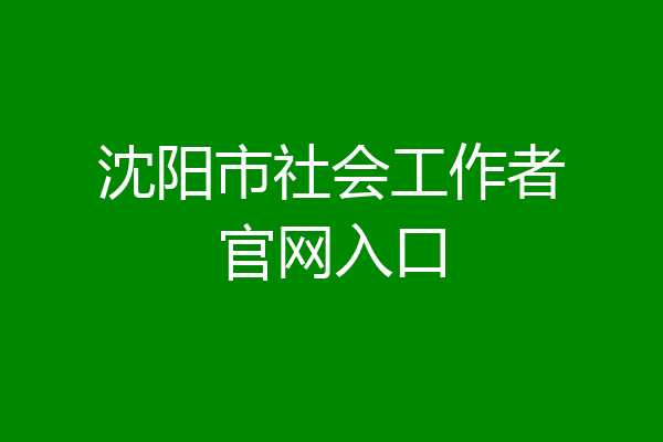 沈阳市社会工作者官网入口
