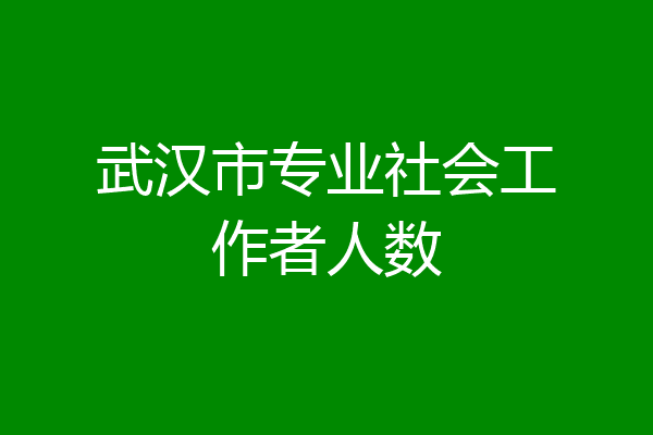 武汉市专业社会工作者人数