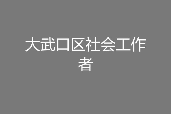 大武口区社会工作者