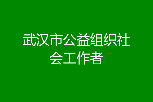 武汉市公益组织社会工作者