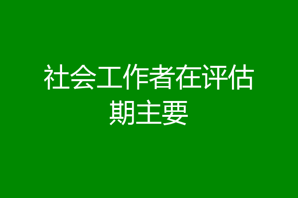 社会工作者在评估期主要